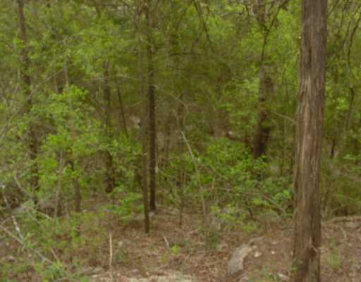 1401 Red Fox Road Austin, TX 78734 - Photo 1 of 1 Gallery Image 1