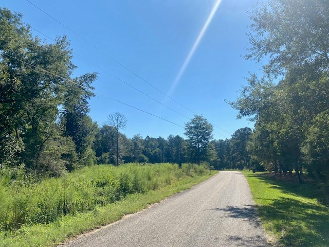 14 Firetower Road Tylertown, MS 39667 - Photo 3 of 17 Photo 3