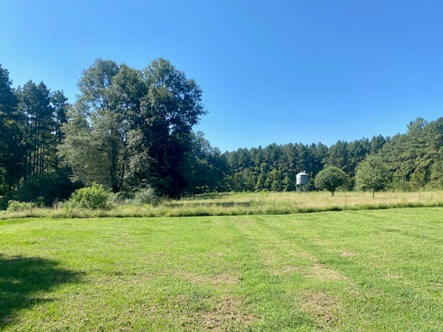 14 Firetower Road Tylertown, MS 39667 - Photo 4 of 17 Photo 4