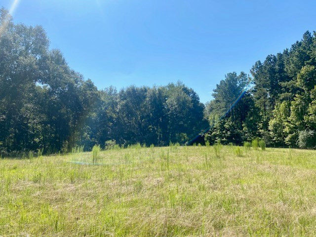 14 Firetower Road Tylertown, MS 39667 - Photo 7 of 17 Photo 7
