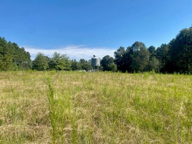 14 Firetower Road Tylertown, MS 39667 - Photo 8 of 17 Photo 8
