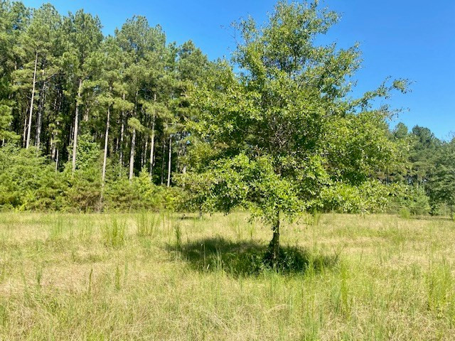 14 Firetower Road Tylertown, MS 39667 - Photo 10 of 17 Photo 10