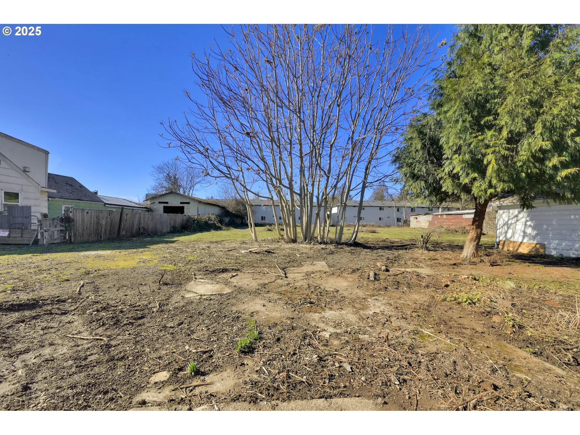 168 North Cleveland Street Eugene, OR 97402 - Photo 27 of 40 a view of yard with large trees
