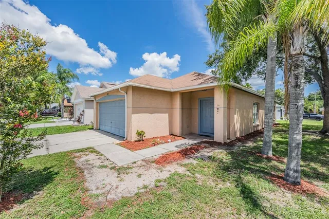 a view of a backyard with plants and a garden