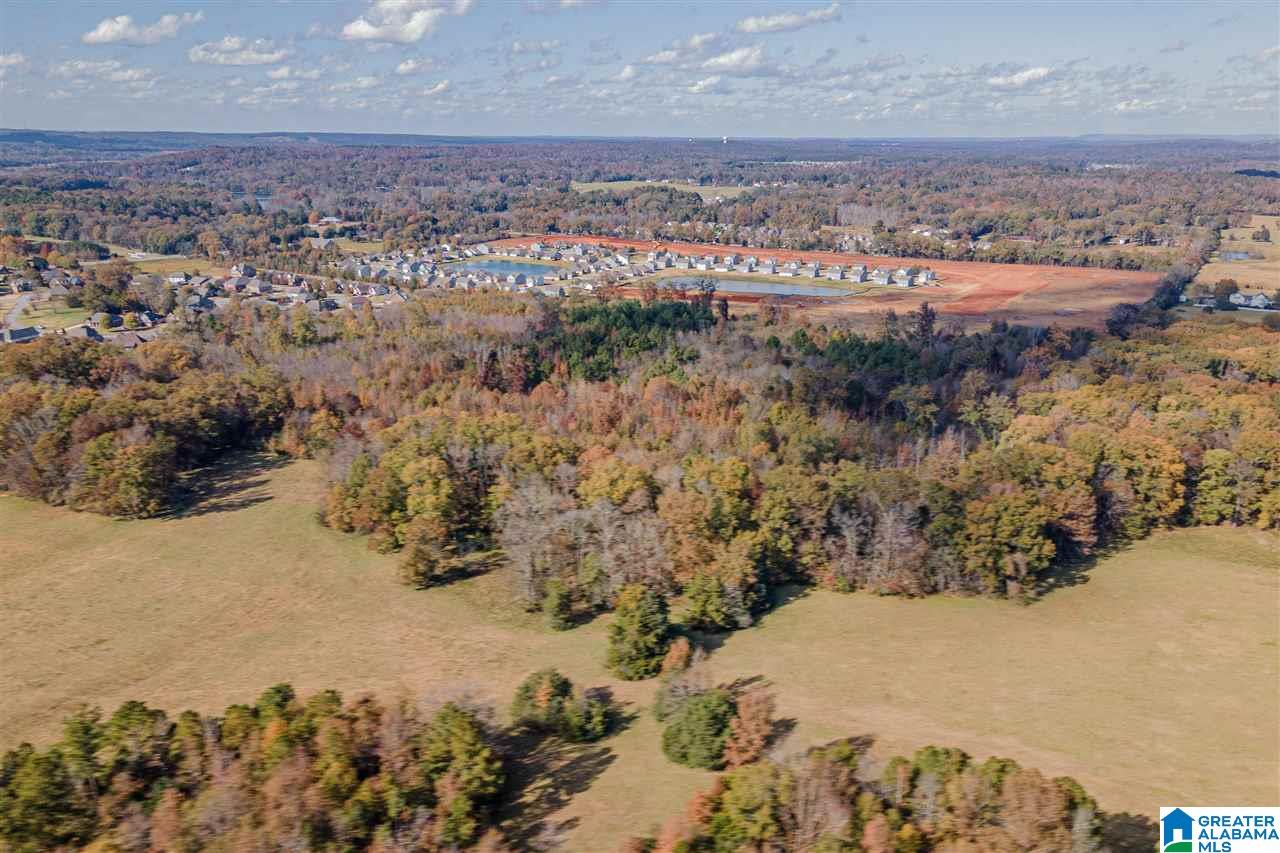 0 Highway 119 Montevallo, AL 35115 - Photo 2 of 5