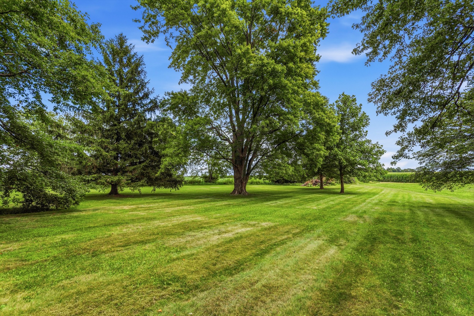 147 Woodlake Road Seymour, IL 61875 - Photo 32 of 39