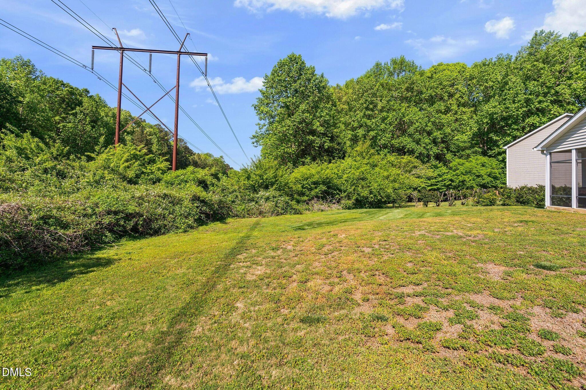 3113 Locust Grove Drive Apex, NC 27539 - Photo 35 of 39 035_18_NJO09807