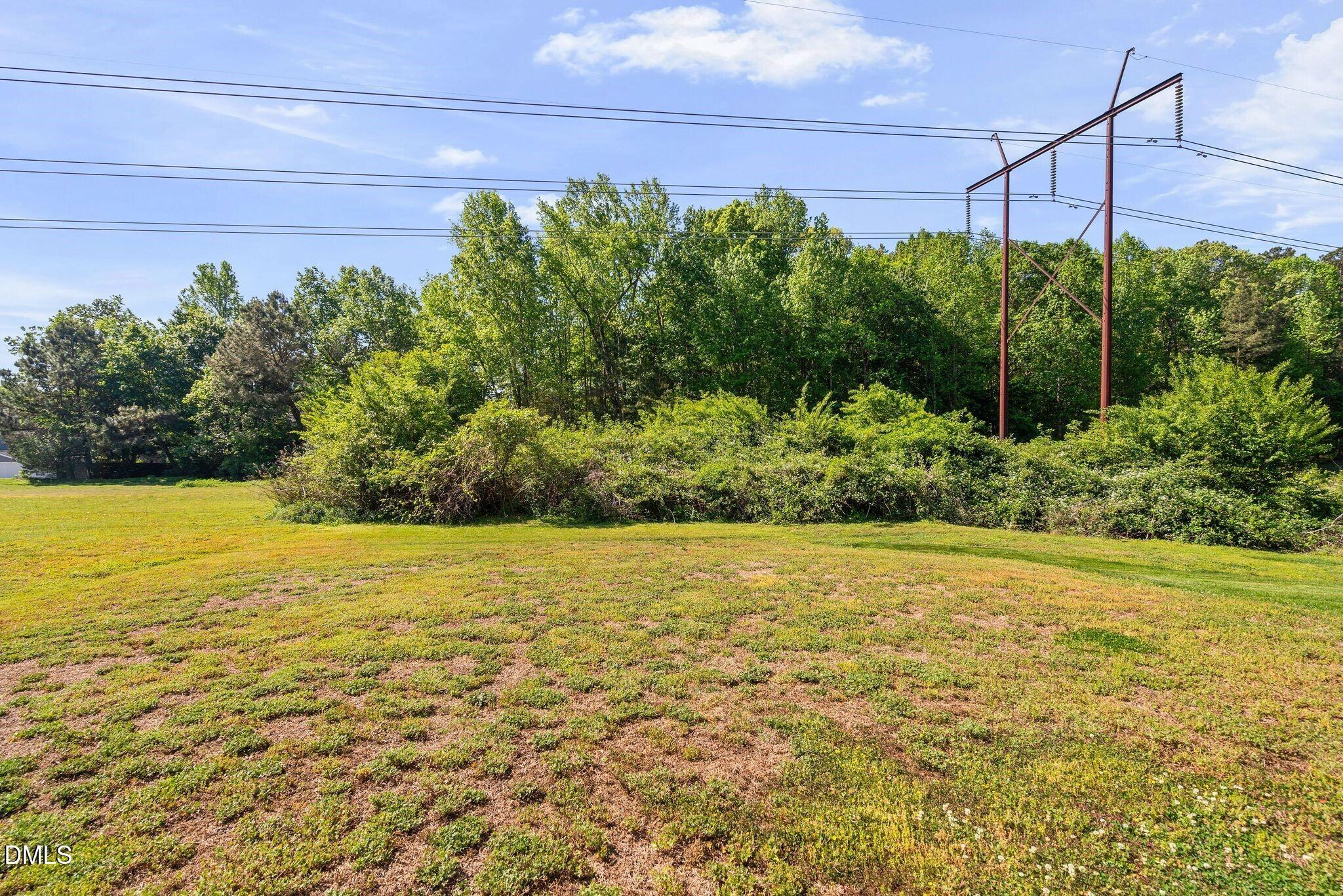 3113 Locust Grove Drive Apex, NC 27539 - Photo 37 of 39 037_24_NJO09813