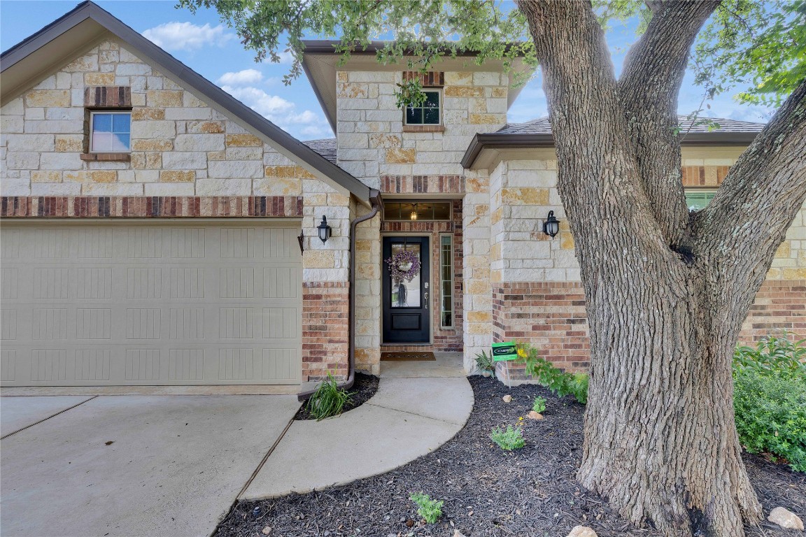1312 Terrace View Drive Georgetown, TX 78628 - Photo 35 of 40 a view of a house with a tree in the background