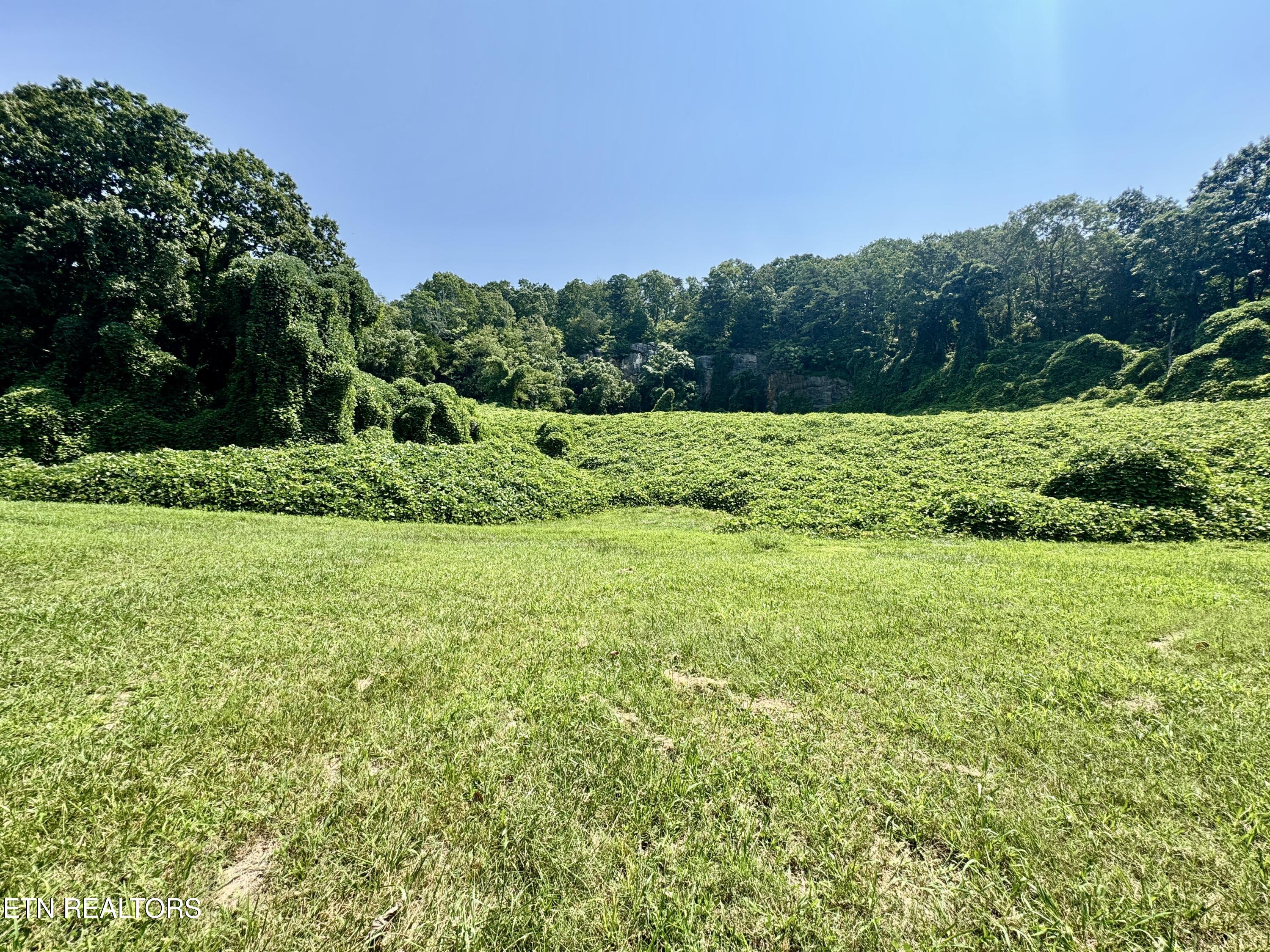 0 Tecoy Quarry Road Northwest Knoxville, TN 37921 - Photo 19 of 37 1-20