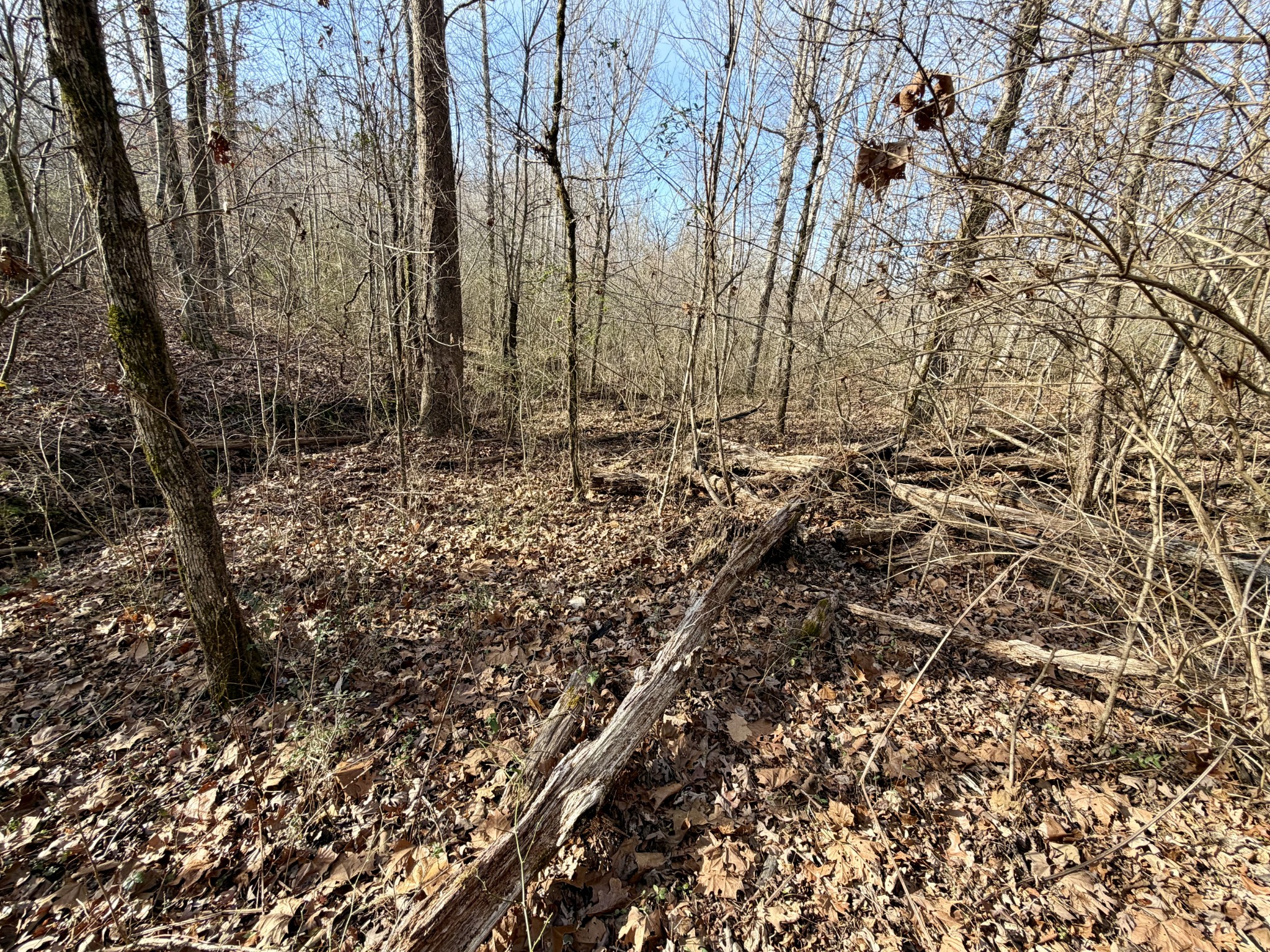 10555 New Cut Off Road Bon Aqua, TN 37025 - Photo 5 of 26