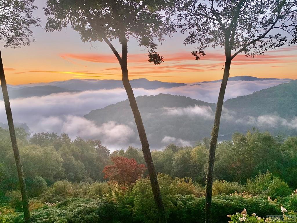 636 Shepherds Gap Road Cullowhee, NC 28723 - Photo 36 of 58 Gallery Image 36