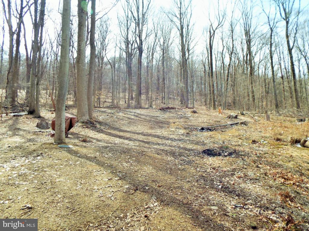 189 Cemetery Road Fredericksburg, PA 17026 - Photo 8 of 33 Gallery Image 8