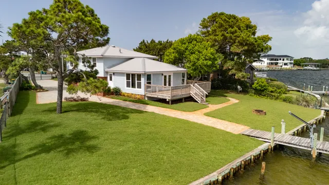 a view of a yard with plants and a tree