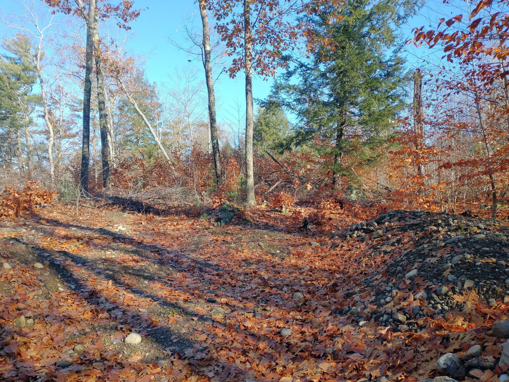 AC766415-41E7-444A-B07C-BFE555121F6F