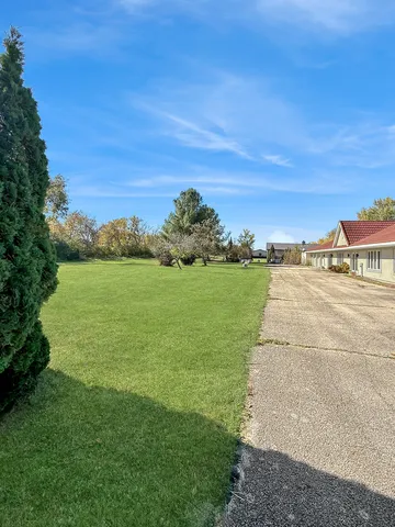 a view of a grassy field with an trees