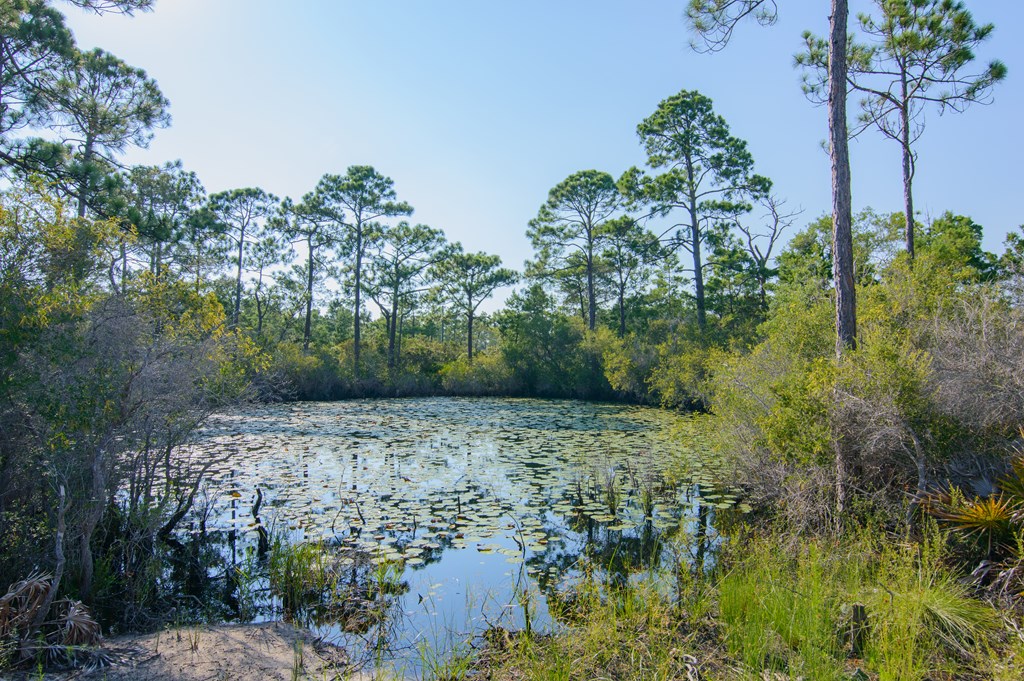217 Ridgecrest Parkway Eastpoint, FL 32328 - Photo 26 of 26 Gallery Image 26