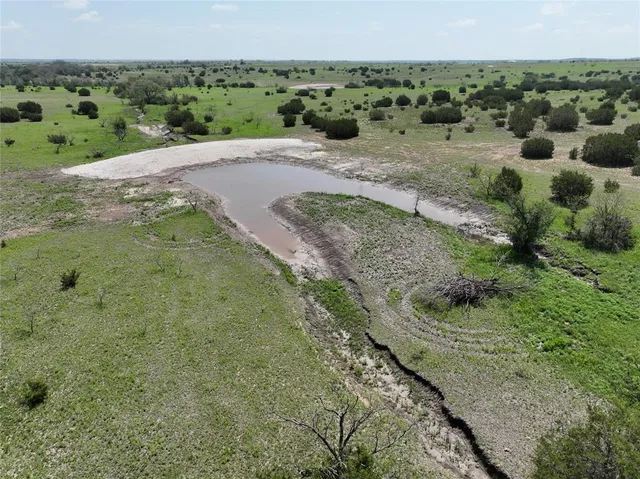 a view of a dry yard with trees