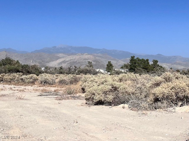 3521 Park Ridge Avenue Pahrump, NV 89048 - Photo 2 of 4
