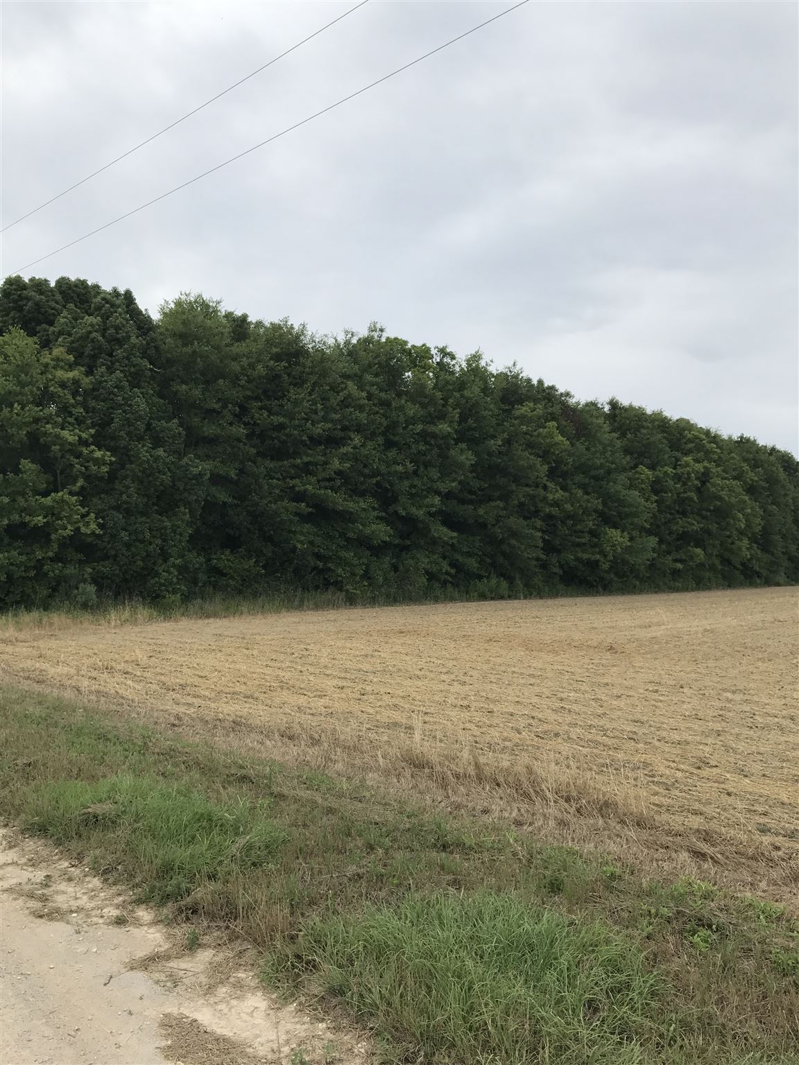 Cc Road Elberta, AL 36530 - Photo 11 of 12