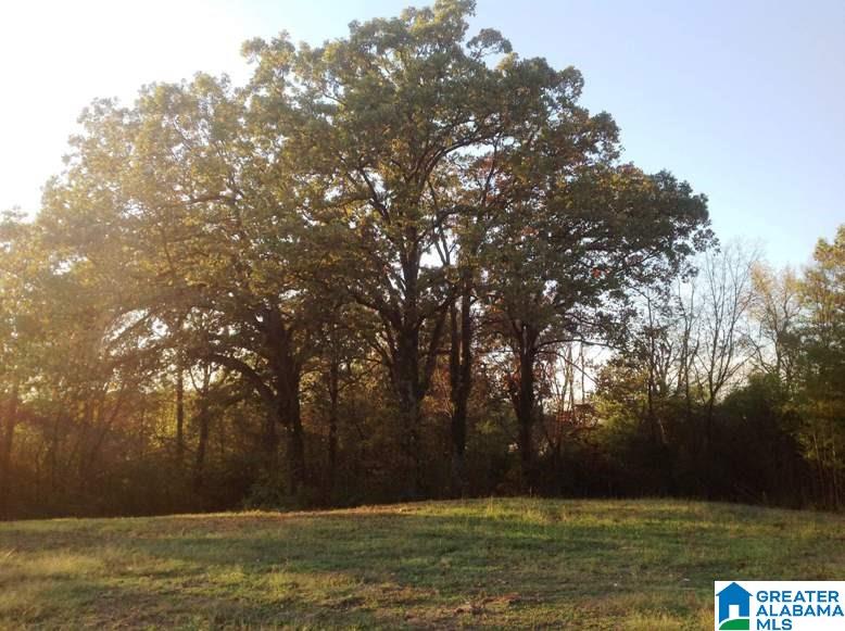 5730 Rockdale Road Bessemer, AL 35022 - Photo 8 of 12
