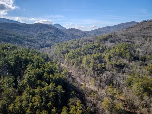 $3,500 | 100 Stanley Creek Crossing, Cherry Log, GA 30522
