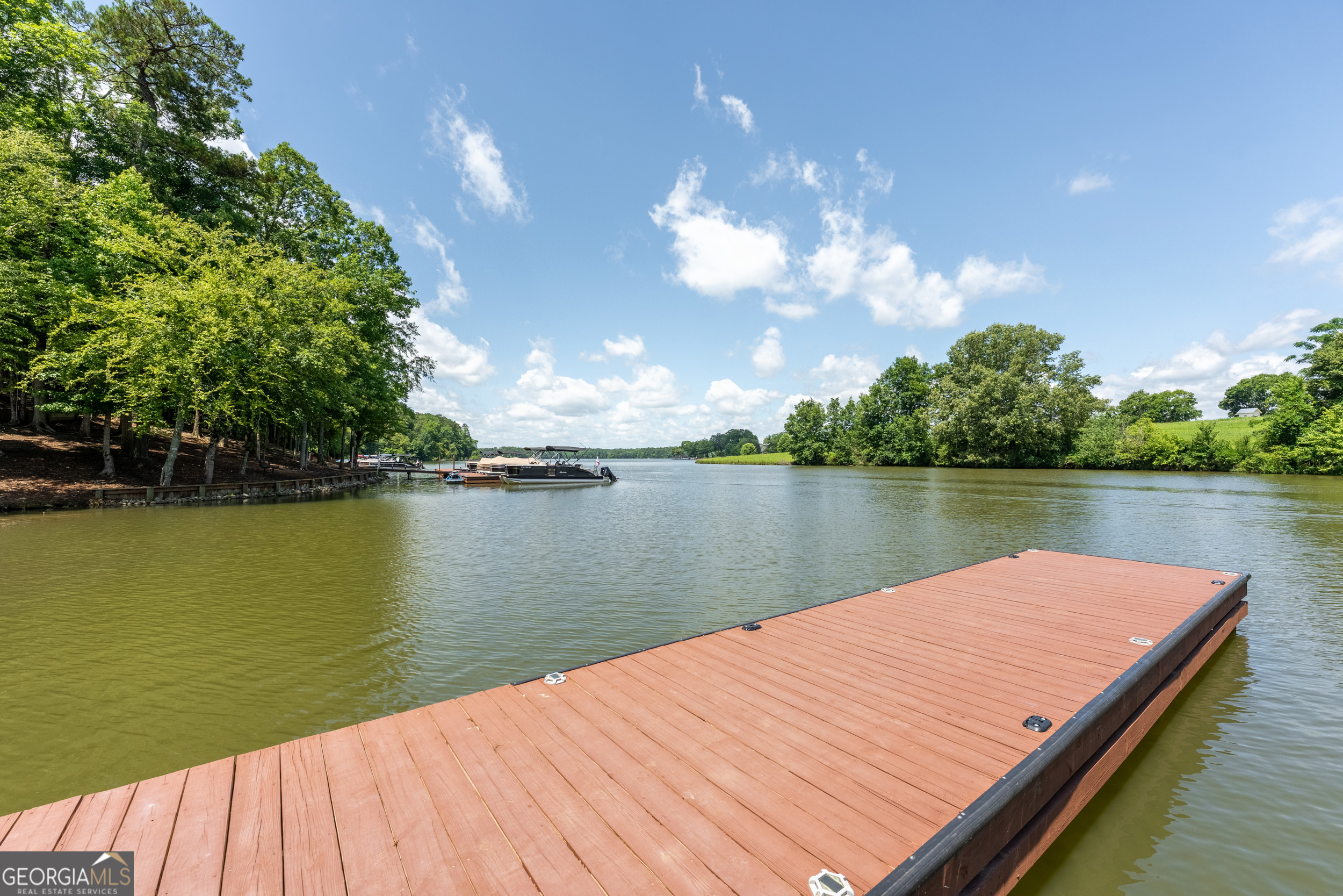 1071 Southern Pne Road Greensboro, GA 30642 - Photo 47 of 48 a view of lake