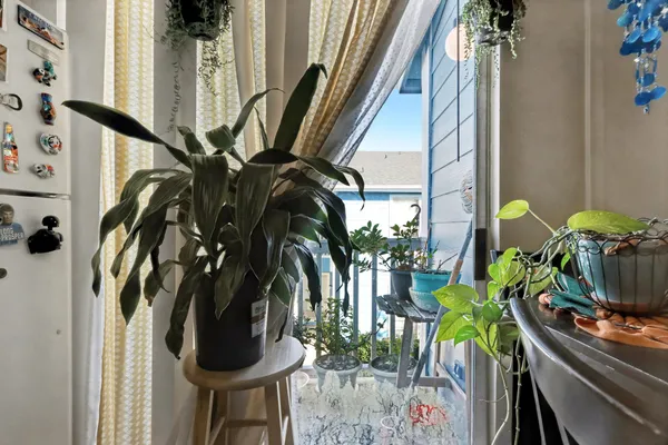 a view of a flower pot