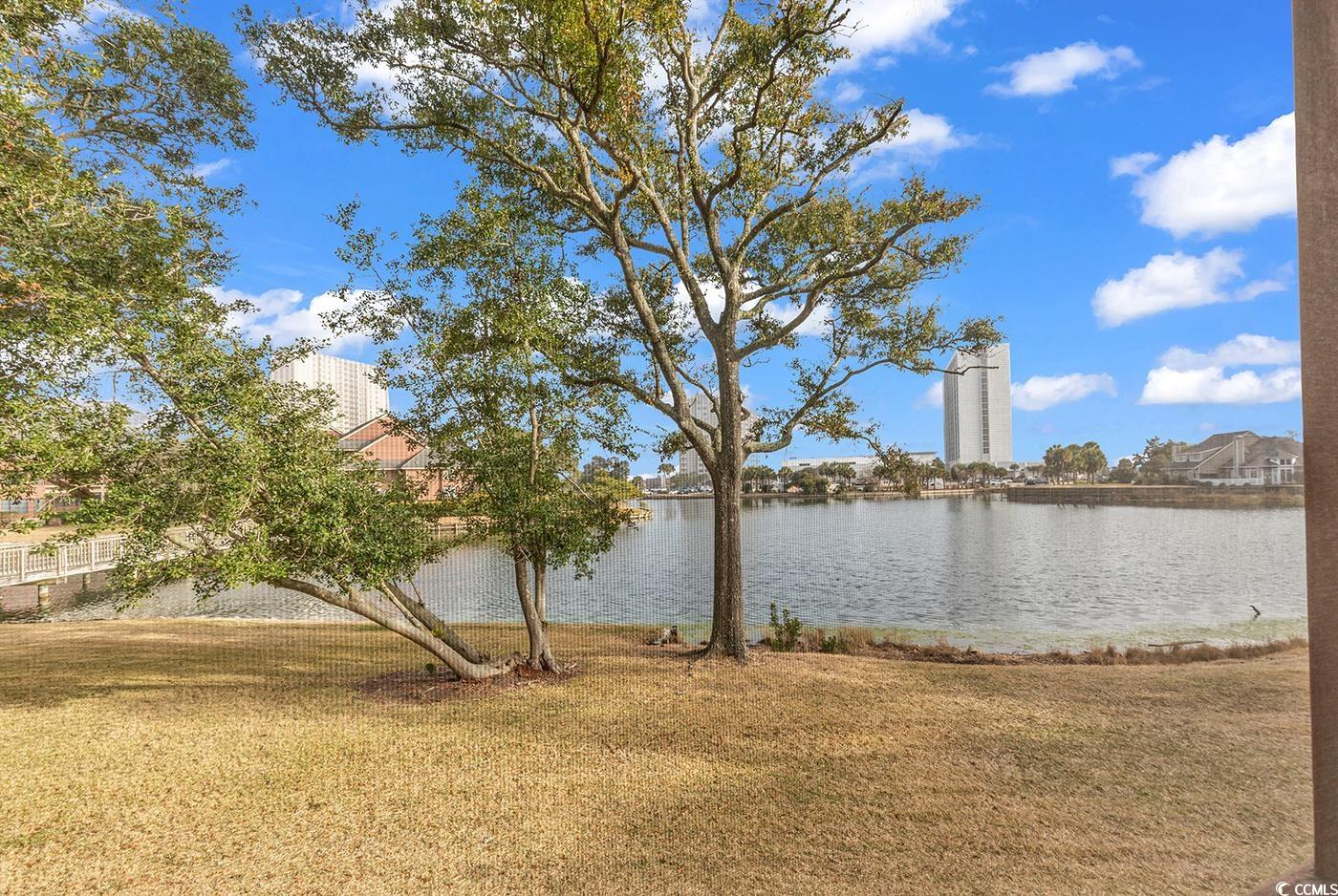 180 Rothbury Circle, Unit 110 Myrtle Beach, SC 29572 - Photo 23 of 38