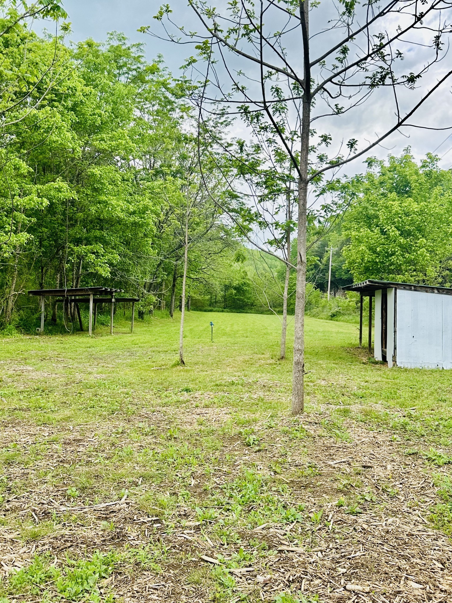2490 Wolf Creek Road Silver Point, TN 38582 - Photo 5 of 49 Gallery Image 5