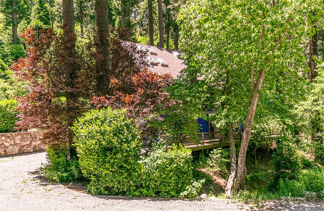 760 Kuffel Canyon Road Lake Arrowhead, CA 92385 - Photo 24 of 24 a backyard of a house with lots of green space