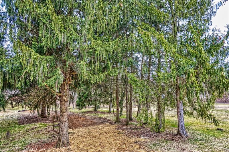 548 Great Belt Road Butler, PA 16002 - Photo 23 of 24 Mature trees overlook the rear yard creating a buffer and privacy.