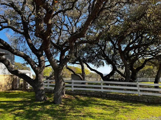 a view of backyard with large trees