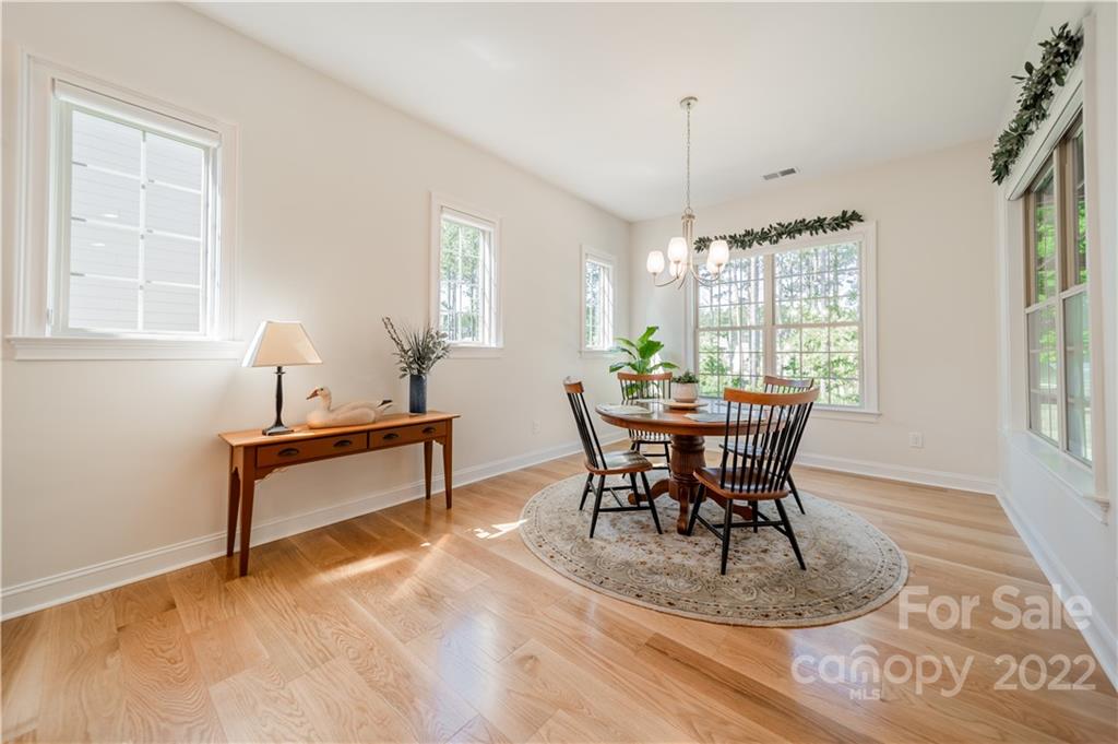 924 Raffaelo View Mount Holly, NC 28120 - Photo 26 of 43 Gallery Image 26