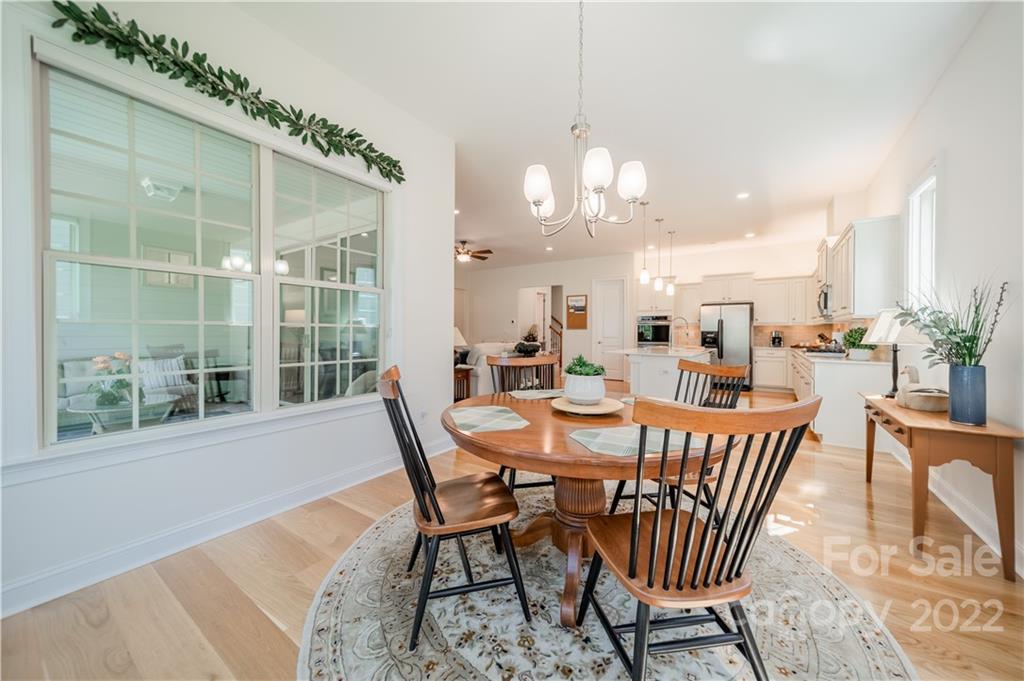924 Raffaelo View Mount Holly, NC 28120 - Photo 27 of 43 Gallery Image 27