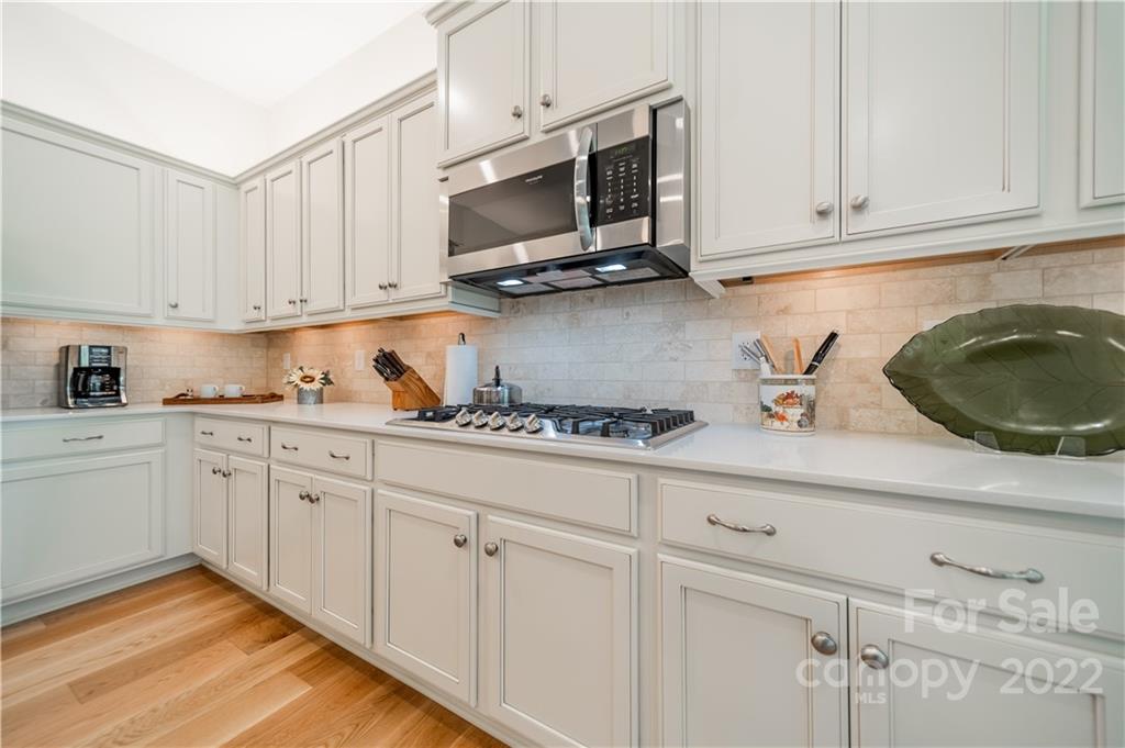 924 Raffaelo View Mount Holly, NC 28120 - Photo 32 of 43 Gallery Image 32