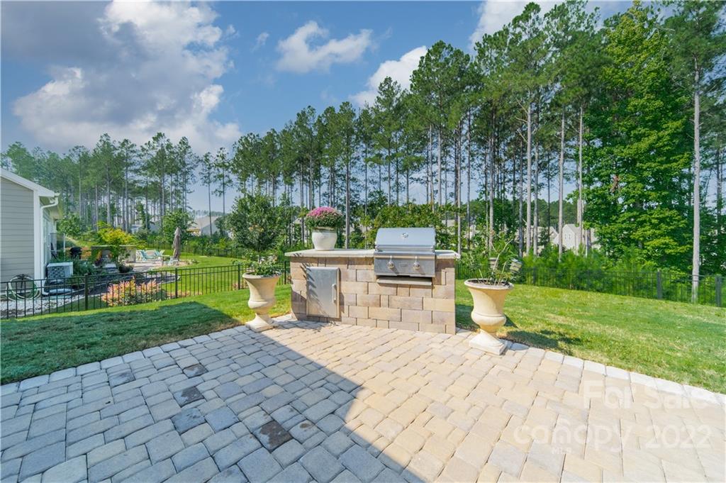 924 Raffaelo View Mount Holly, NC 28120 - Photo 10 of 43 Gallery Image 10