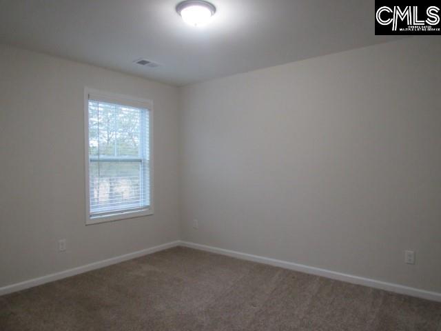 150 Druid Road Lexington, SC 29072 - Photo 20 of 22