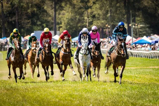 $343,900 | 8132 Snelling Drive, Aiken, SC 29803