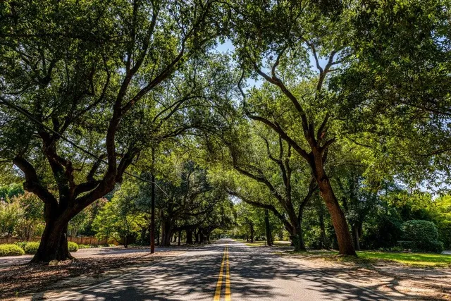 $343,900 | 8132 Snelling Drive, Aiken, SC 29803