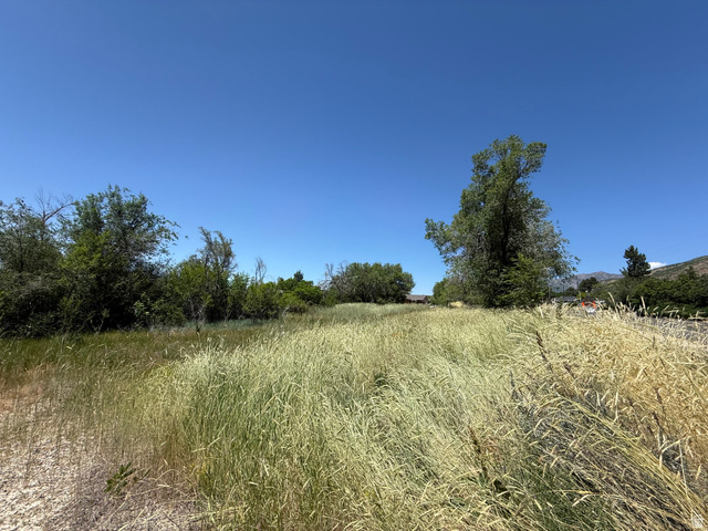 1792 Valley View Drive Layton, UT 84040 - Photo 3 of 18 Expansive open field featuring tall, natural grasses