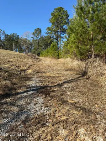 $68,000 | 1252 Lake View Drive, Leakesville, MS 39451