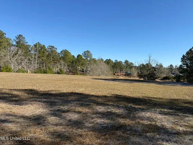 $68,000 | 1252 Lake View Drive, Leakesville, MS 39451