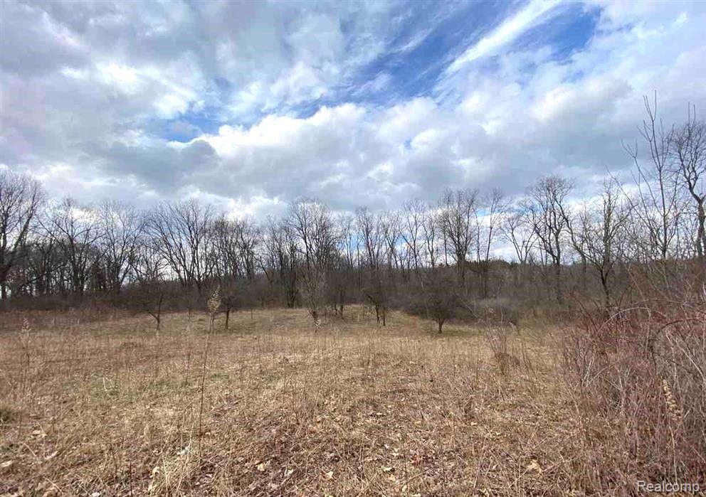 1771 East Predmore Road Oakland, MI 48363 - Photo 7 of 17 Gallery Image 7