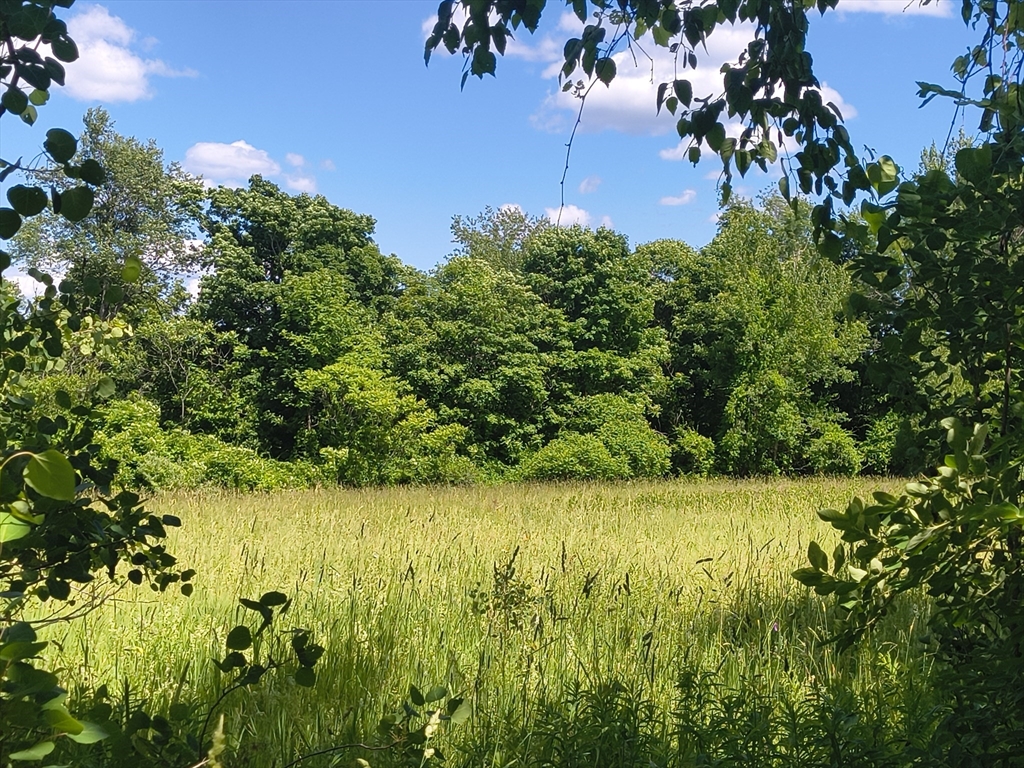 Lot 4 Holcomb Road Chester, MA 01011 - Photo 1 of 4