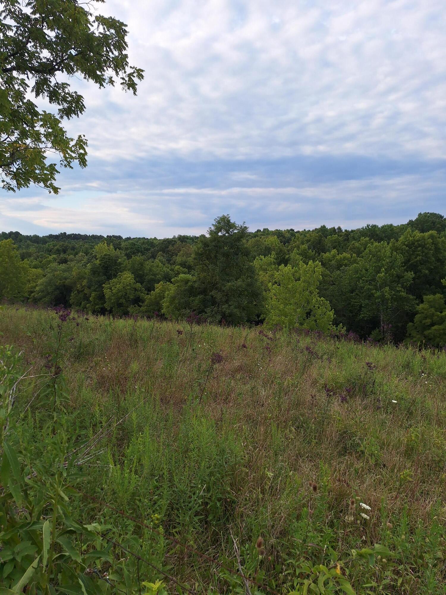 0 Keefer Road Corinth, KY 41010 - Photo 9 of 17 Gallery Image 9