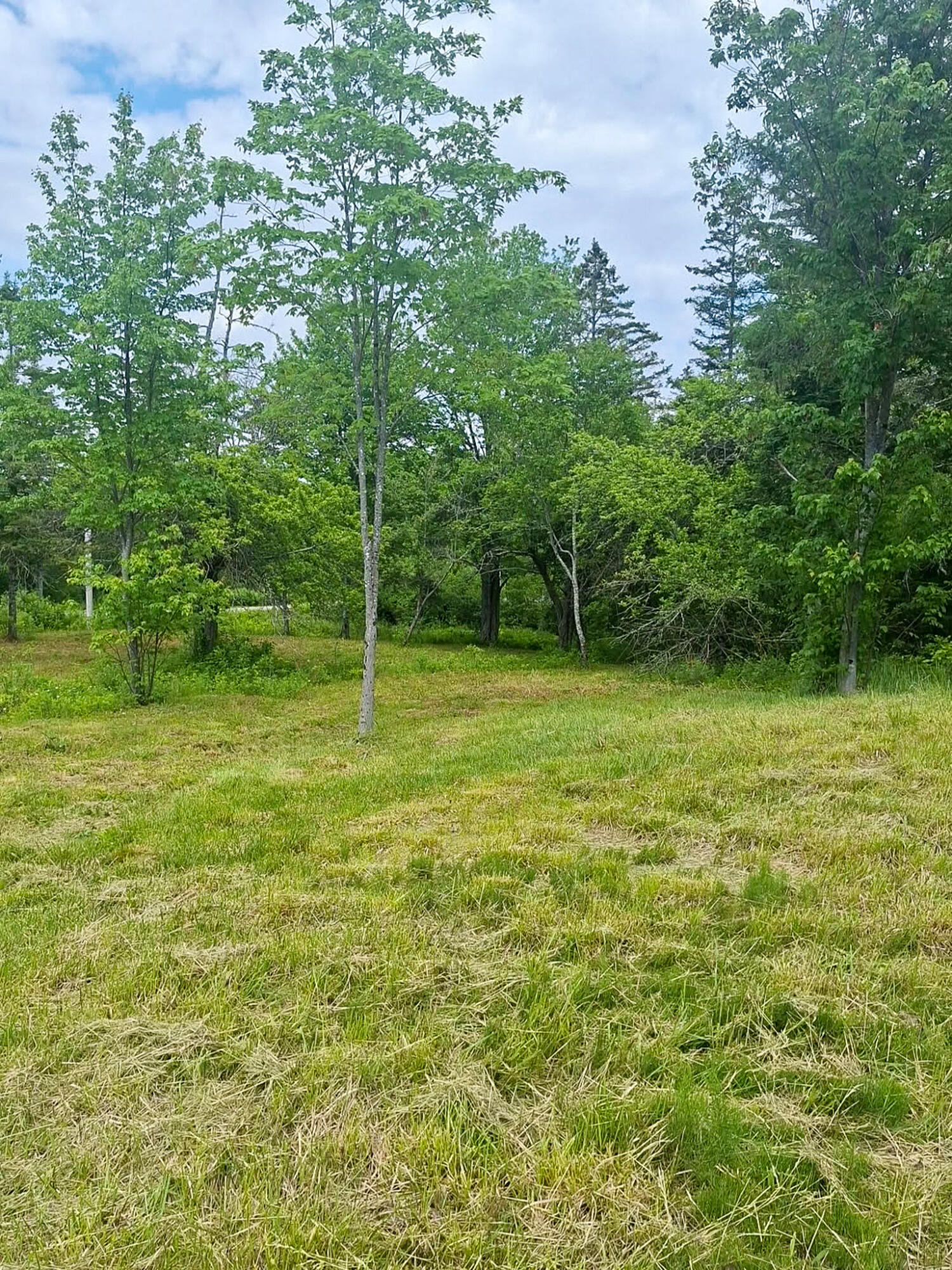 M3-l19 Cross Road Dennysville, ME 04628 - Photo 6 of 12 7eb922f9-9d2d-4543-9d3a-82c1ab73d291