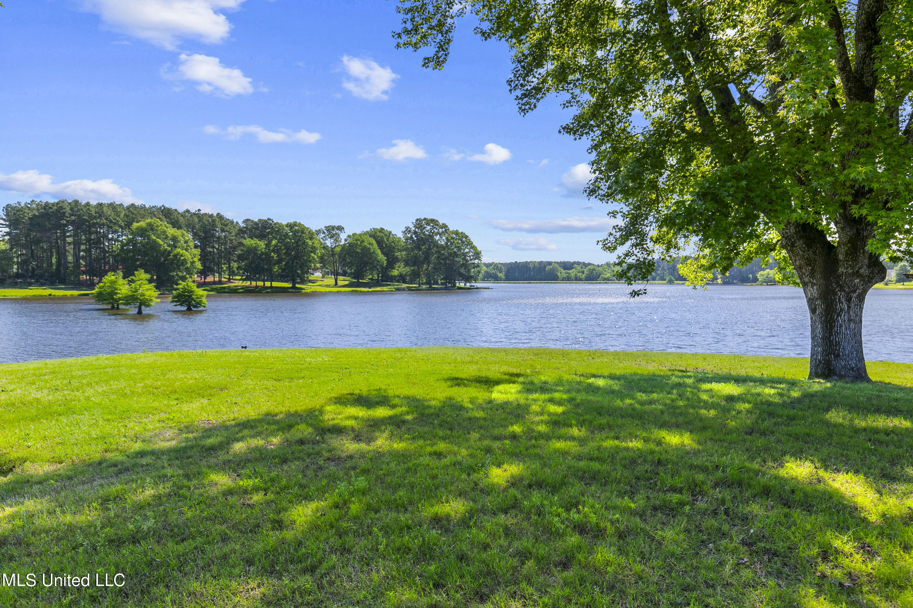342 Mannsdale Road Madison, MS 39110 - Photo 35 of 40 342 Mansdale-48