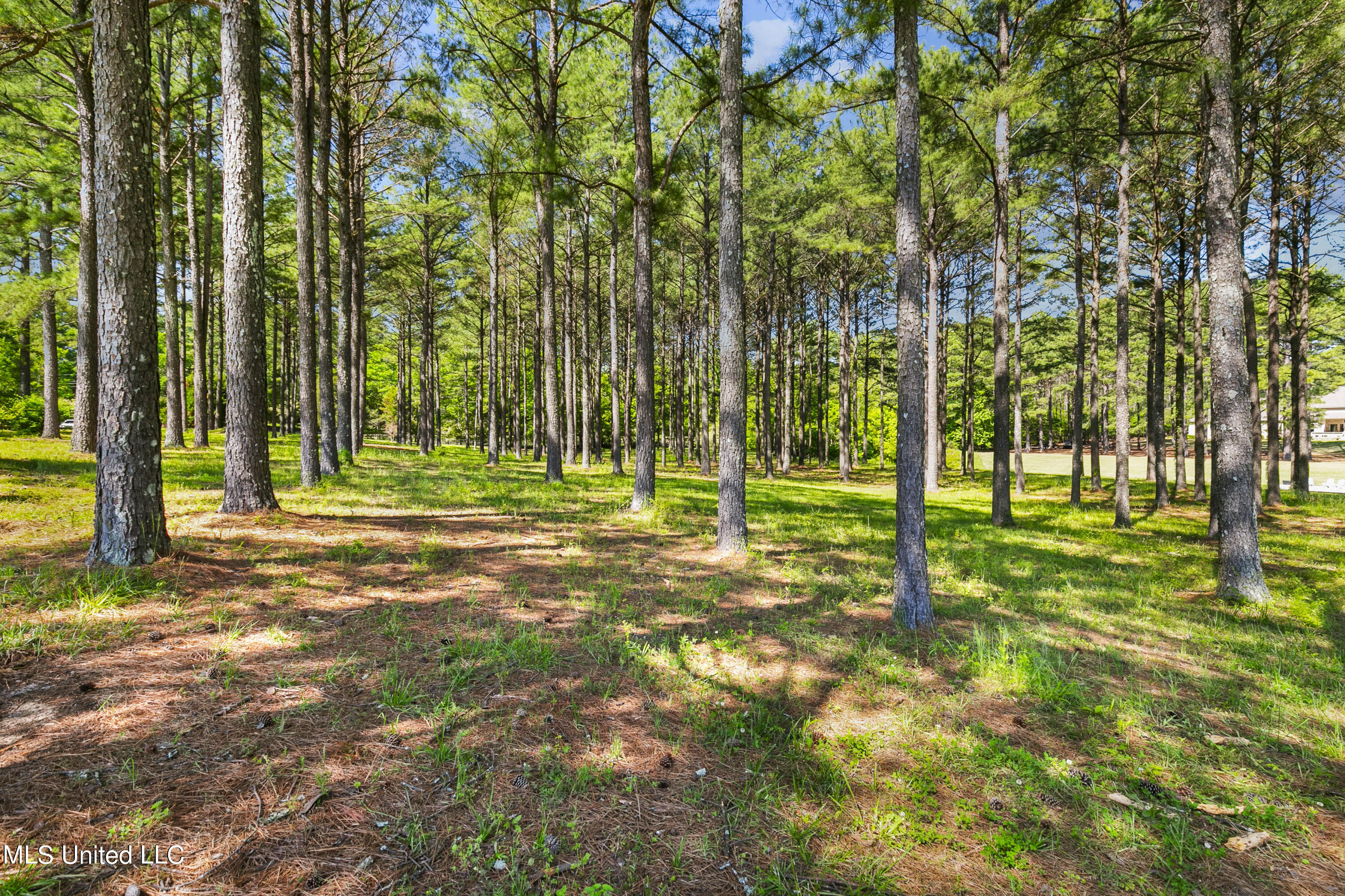342 Mannsdale Road Madison, MS 39110 - Photo 8 of 40 342 Mansdale-53