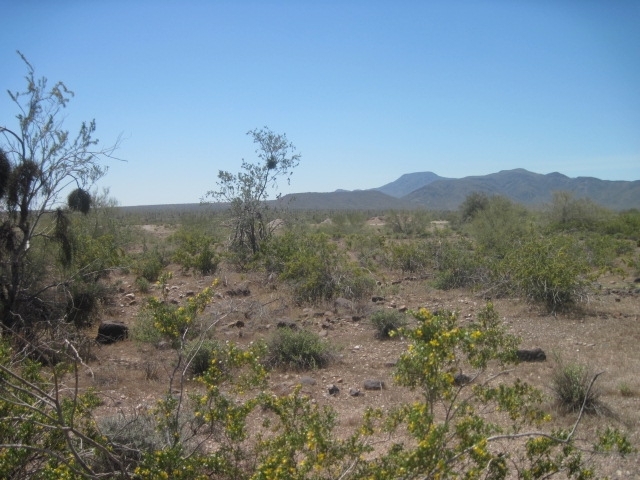 0 West Carranza Parcel Road Maricopa, AZ 85139 - Photo 1 of 7 GLG 02